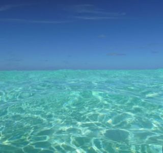 trip to the Maldives