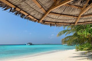 The sea in the Maldives