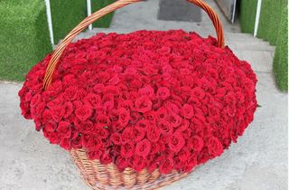 Розы :3