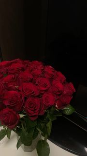 Roses & Flower