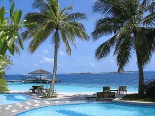 Vacation