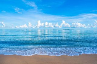 Trip to the sea