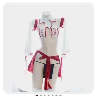 Erotic costume