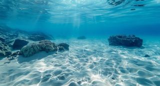 Stream by the ocean