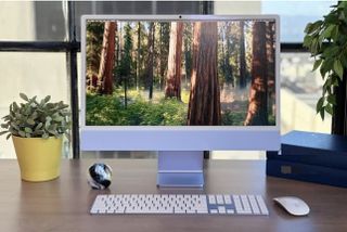 Setup upgrade