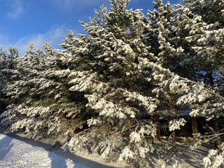 Snowmobile