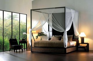 Dream!
