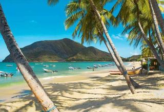 UN VIAJE A UNA PLAYA EN EL CARIBE