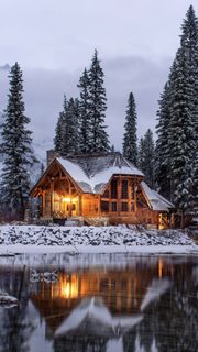 House in the forest