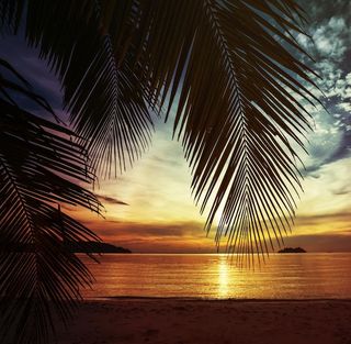 Путешествия/Travel