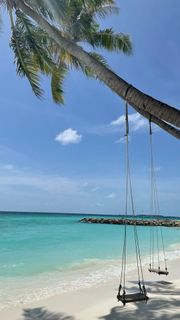 Vacation trip