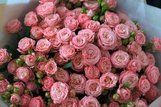 Bouquet of flowers