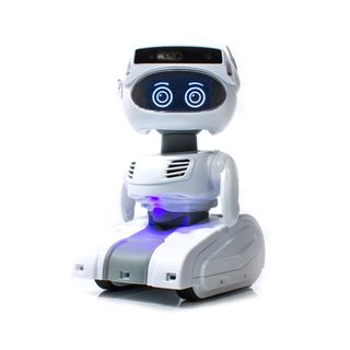 I want a robot assistant