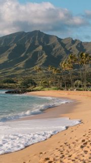 Hawaiian Dream