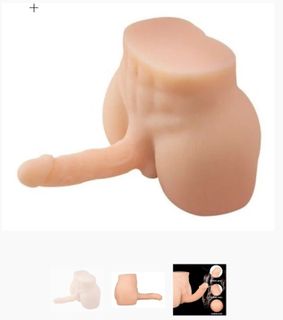 Male torse