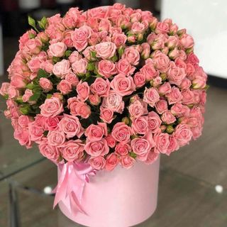 Bouquet of spray roses