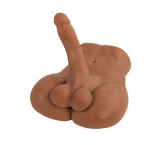 Torso toy