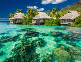 Vacation in Bali