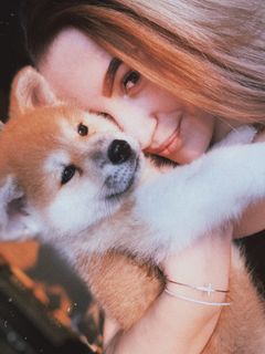 Akita Inu