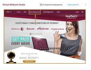 Virtual Webcam Studio