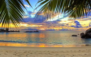 I want to go to the sea