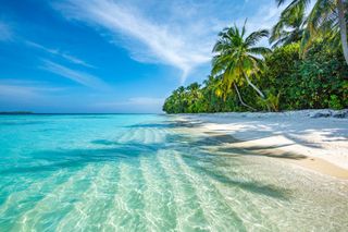 tour to bali to stream on a nudist beach | tour to bali to stream on a nudist beach