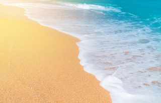 Trip to the sea