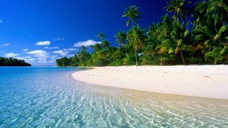 overseas trip