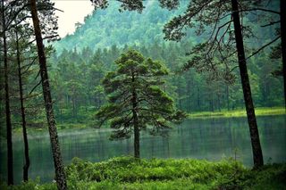 victoria121 wish list item 1 thumbnail