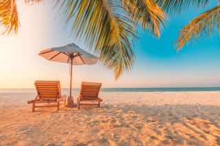 ☀️Holiday to the Tropics☀️