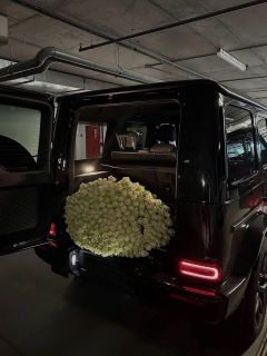 Dream of 1001 Roses