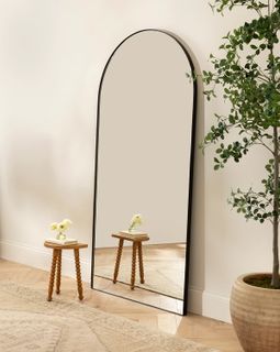 Big mirror for the squirt shows