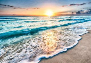 Go to the sea
