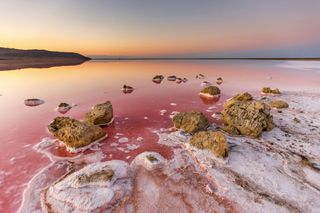 hit the pink beach