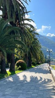 Путешествие