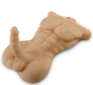 Torso