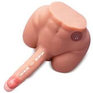 torso