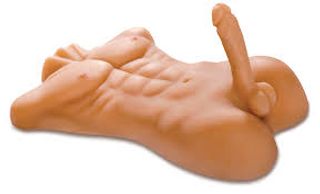 torso