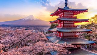 Travel to Japan