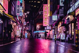 trip to the tokyo