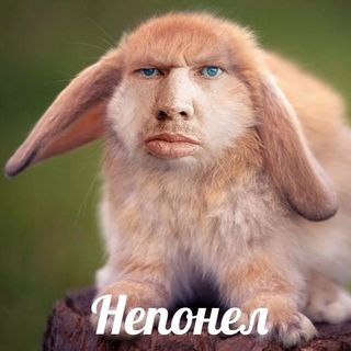 хочу никогда не болеть