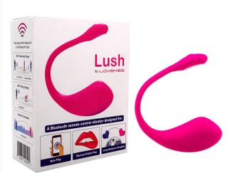 LOVENSE TOY