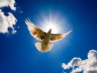 World peace