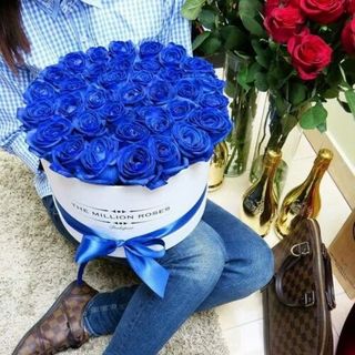 Blue roses. Mmmm they look magical.