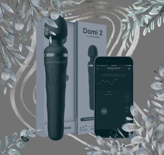 DOMI 2