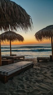 Vacation