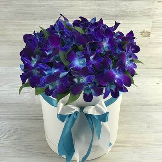 my favorite flowers