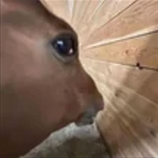aaaaa