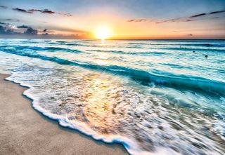 See the sea