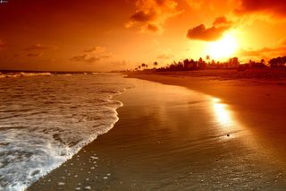 go to the beach